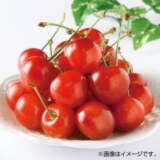 あま〜い果汁たっぷり 大粒さくらんぼ “佐藤錦”（バラ詰め）