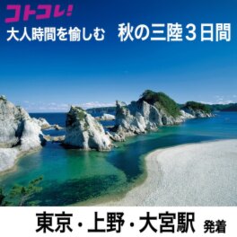 大人時間を愉しむ 美食と絶景でめぐる 秋の三陸３日間 ＜東京・上野・大宮駅発着＞