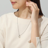 デルークス サージカルステンレス ＣＺ ホースシューペンダント