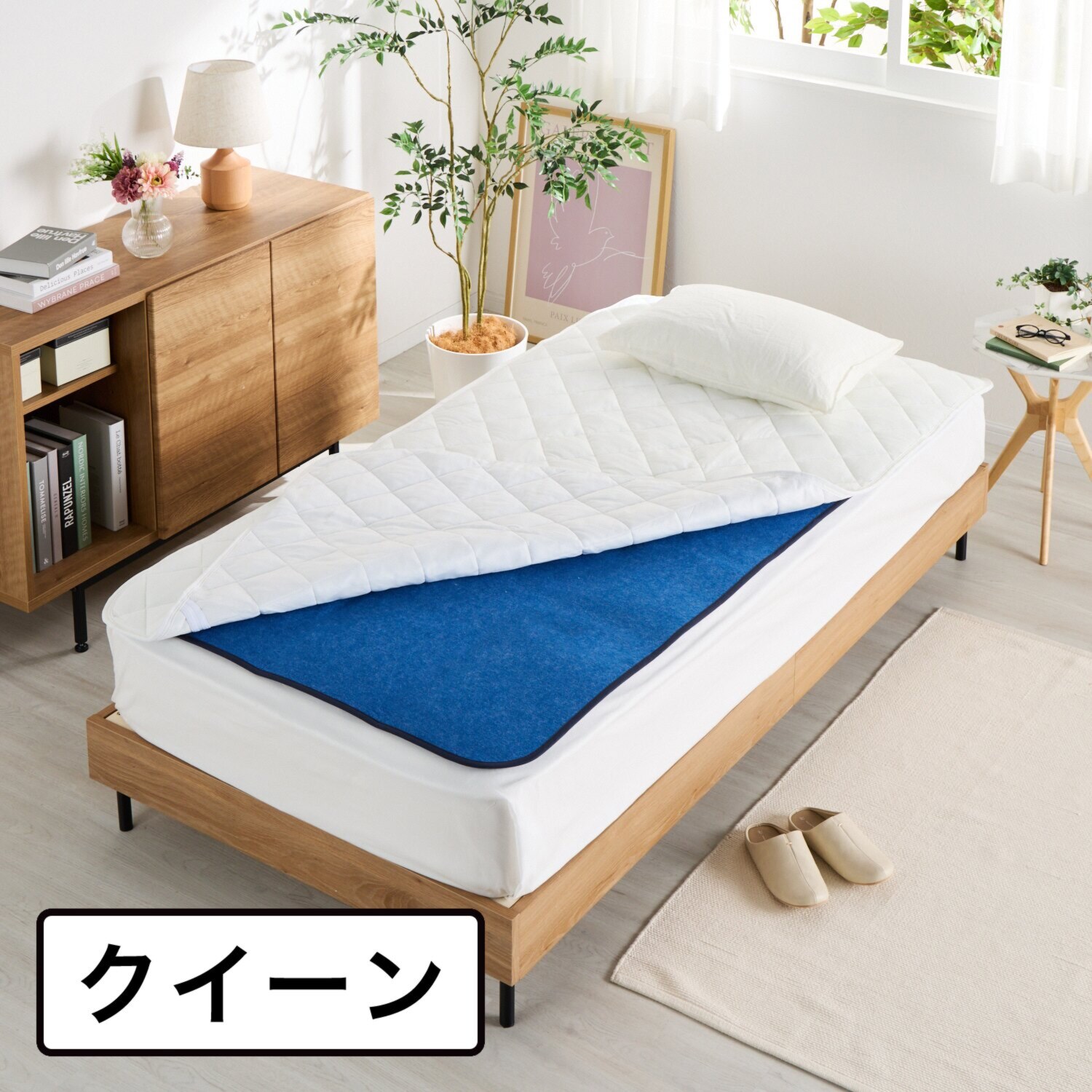 ｎｉｓｈｉｋａｗａ 湿気をぐんぐん吸収！ 繰り返し使える 防カビ・防ダニ・消臭 除湿シート ＜クイーン＞