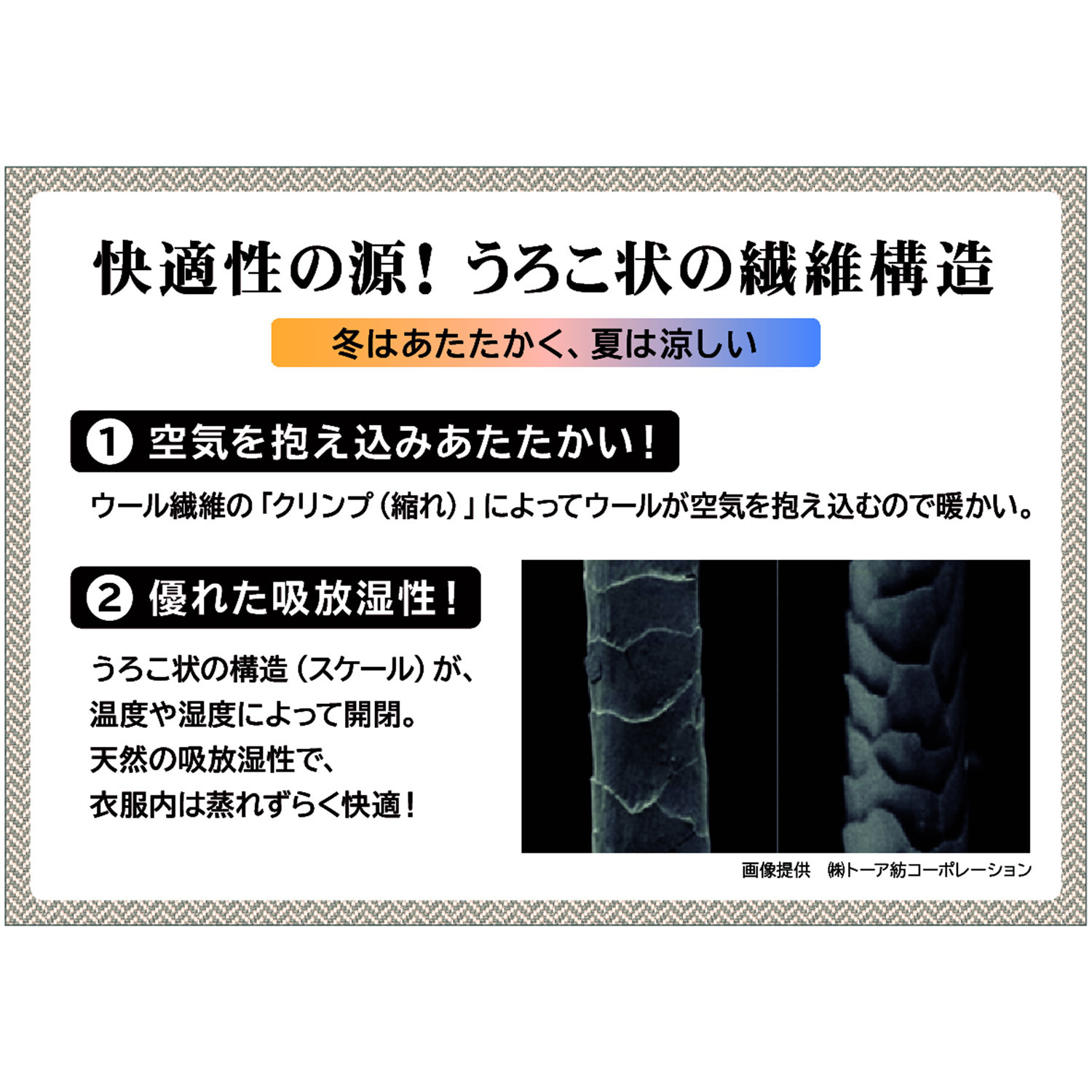 ヘ・エラ 日本製 抗菌防臭・消臭・吸湿発熱 極上メリノウール１００％ バレエネックインナー