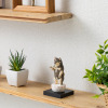 たまふり屋 犬ｂｕｄｄｈａ 阿弥陀柴犬＜小＞