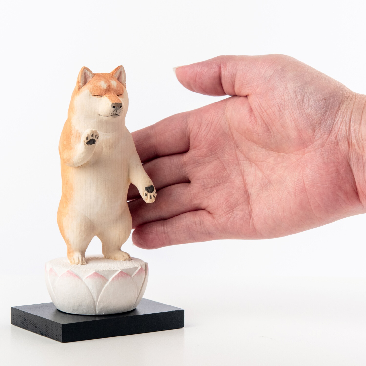たまふり屋 犬ｂｕｄｄｈａ 阿弥陀柴犬＜中＞ コンプリートセット