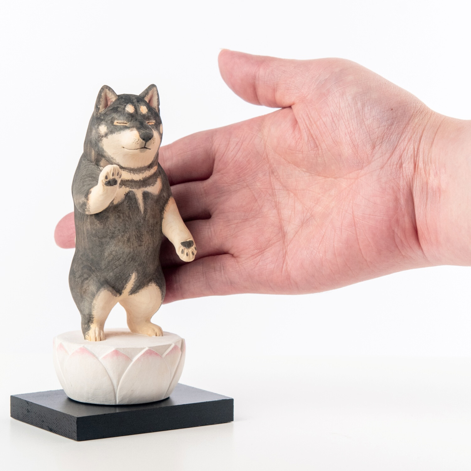 たまふり屋 犬ｂｕｄｄｈａ 阿弥陀柴犬＜中＞ コンプリートセット