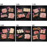 デビュー１０周年記念 老舗肉問屋ニイチク 特選石垣牛６ヶ月頒布会