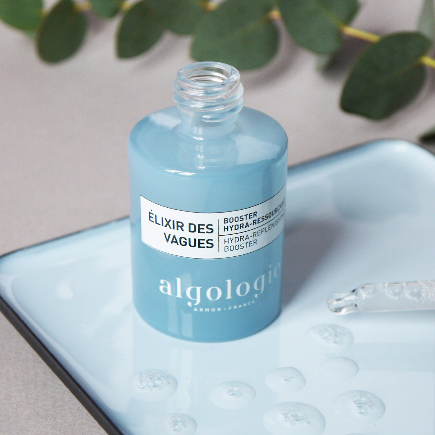 アルゴロジー 植物幹細胞成分 （クリスマムマリチマム エキス、エリンギウム マリチムムエキス）配合 濃密ハリ美容液 ハイドラセラムブースター ２本セット 