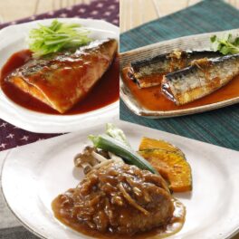 「賛否両論」笠原将弘 照り焼き風ハンバーグと 煮魚２種セット