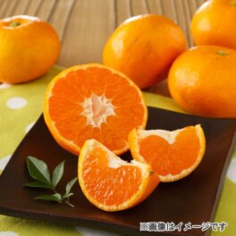 厳選みかん 太陽の雫（小玉サイズ）