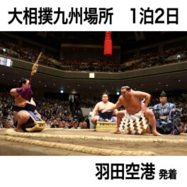 旅っくす 迫力の生観戦 大相撲九州場所 ＜１泊２日 　羽田空港発着＞