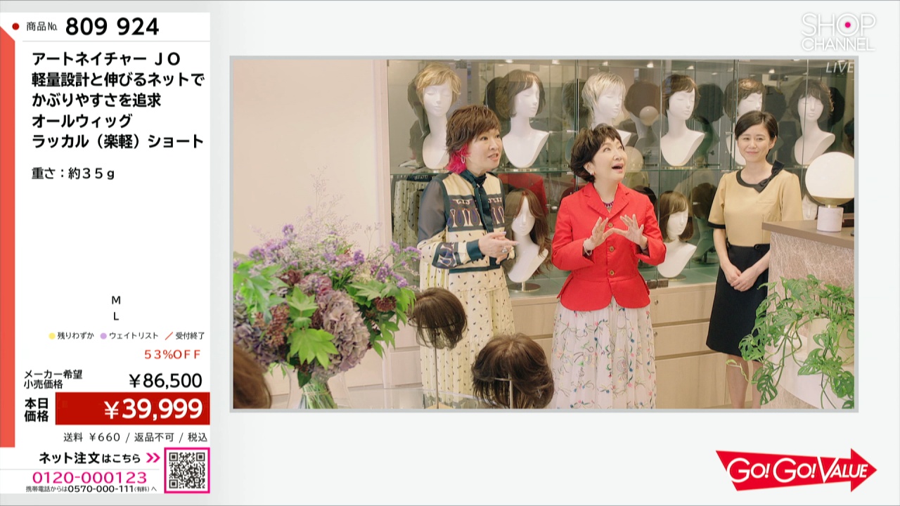 アートネイチャー JO 軽量設計と伸びるネットで かぶりやすさを追求