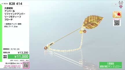 商品動画を見る