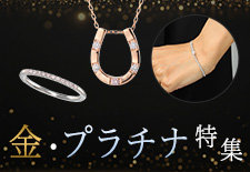 日干し昆布様、専用❗️ヴェルサーチ✨ネックレス&ブレスレット！セット✨ seasukii