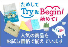 Try&Begin