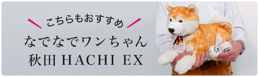 こちらもおすすめ なでなでワンちゃん 秋田 HACHI EX