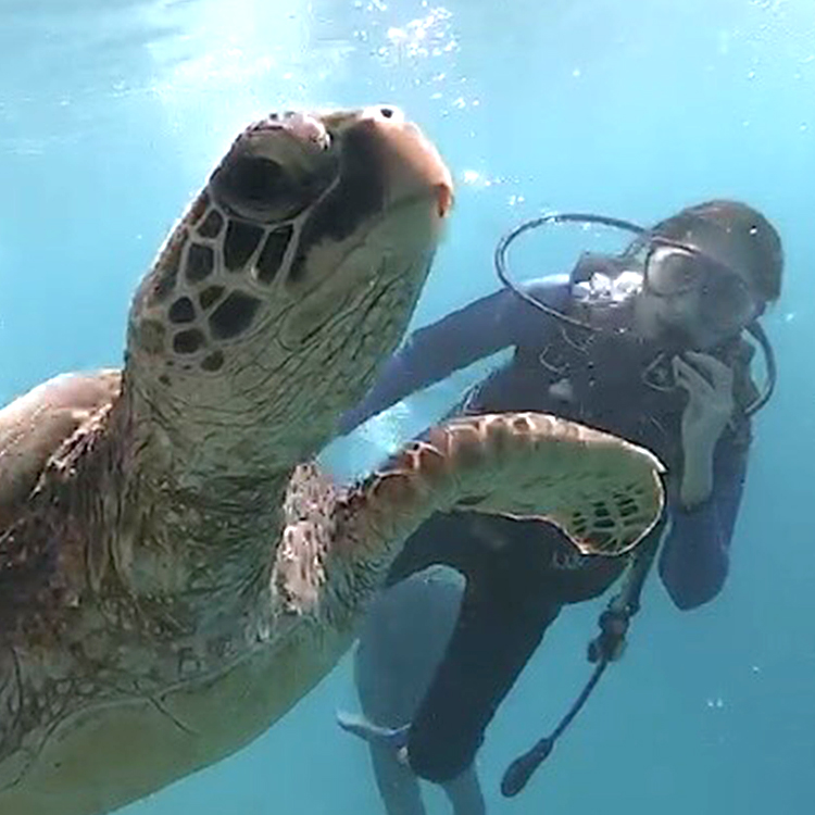 阿部智帆さんの画像