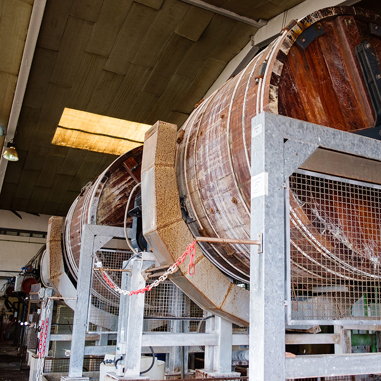 ���c��M����̉摜