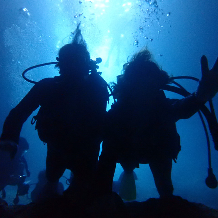 小山明子さんの画像