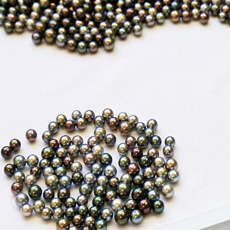 三好健志さんの画像