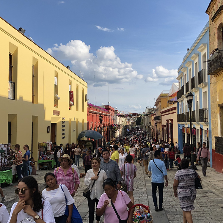 ���}����m����̉摜