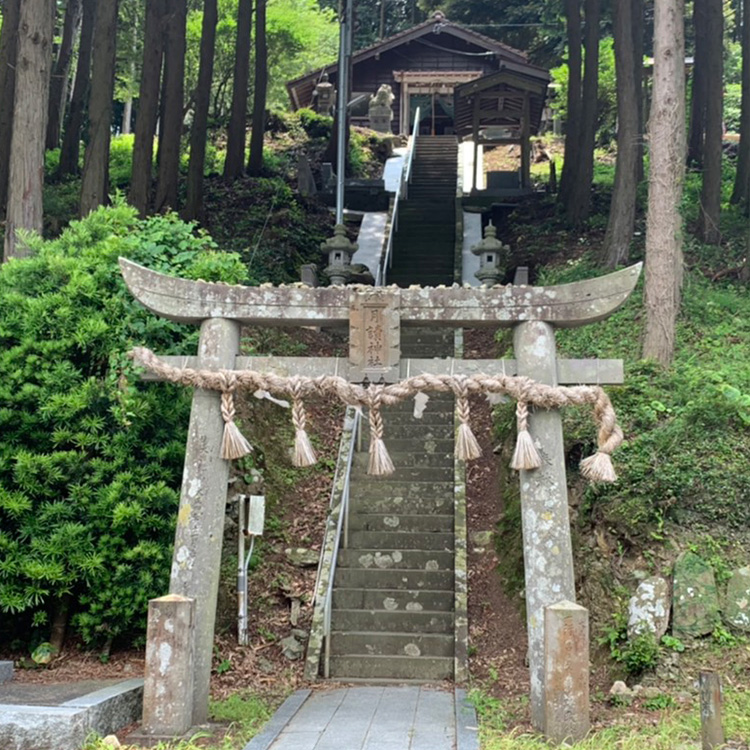 �c����������̉摜