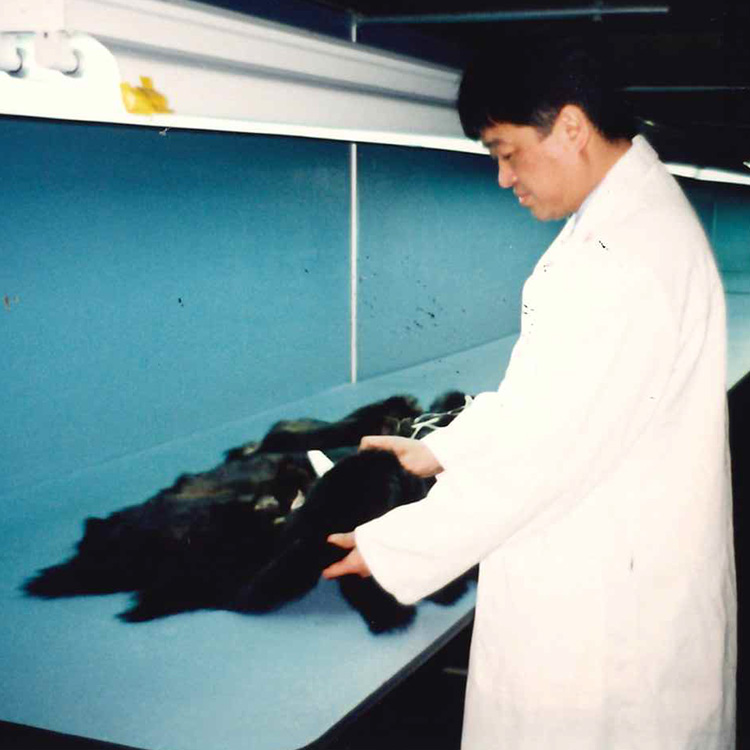 �Y��͔V����̉摜