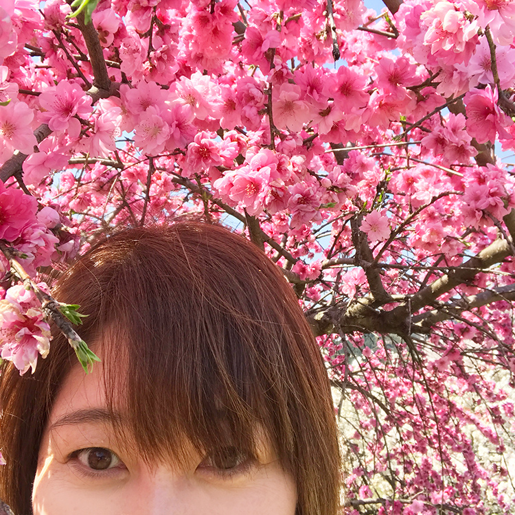 山下美佐子さんの画像