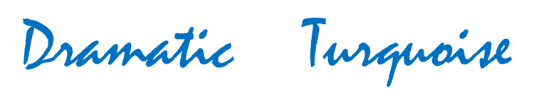 �h���}�`�b�N�E�^�[�R�C�Y���S