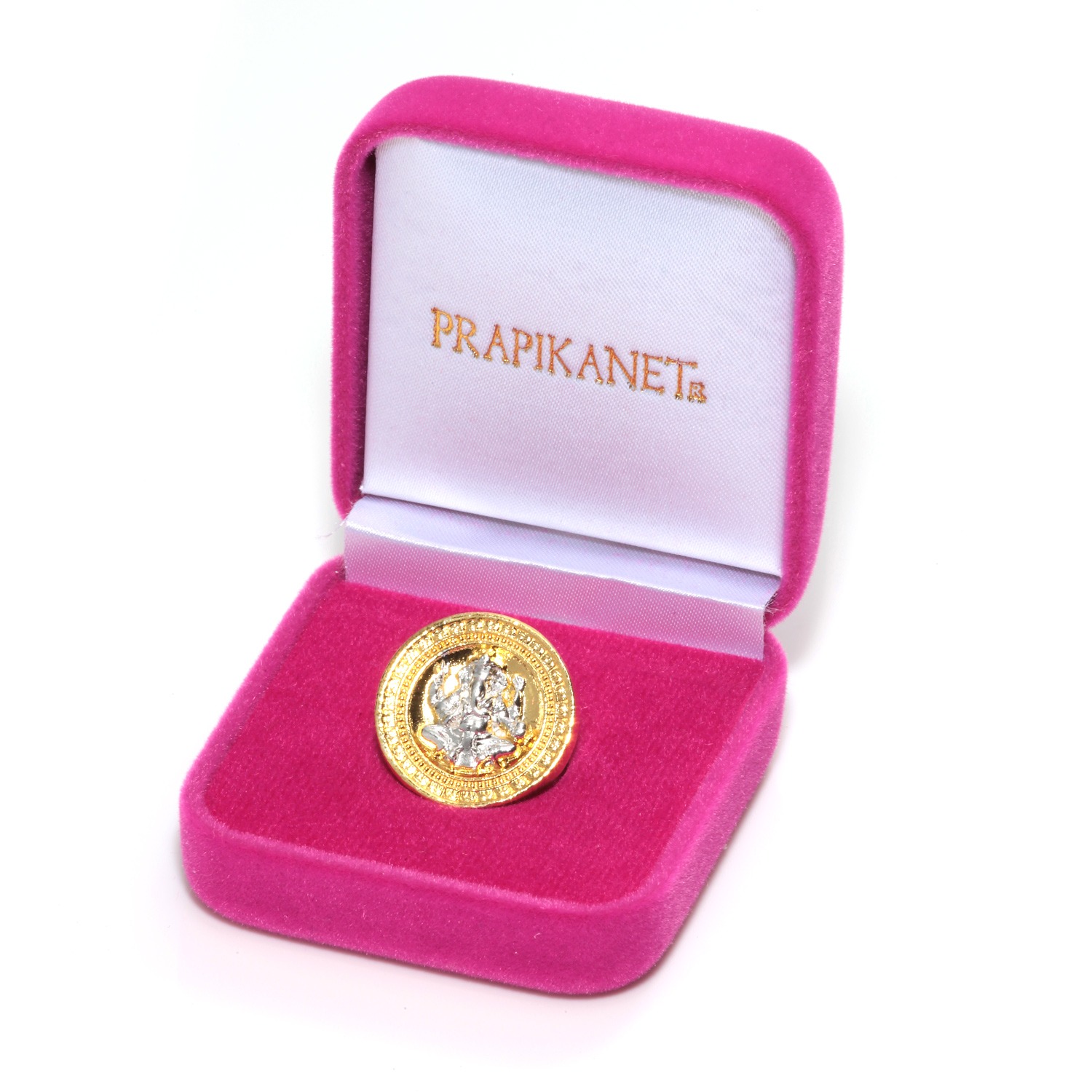 プラピカネ コイン 巨万の富と大幸運の神様 “金塊のお宝コイン 