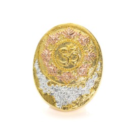 プラピカネ コイン 巨万の富と幸運の神様 “金招き！ お宝ビッグコイン