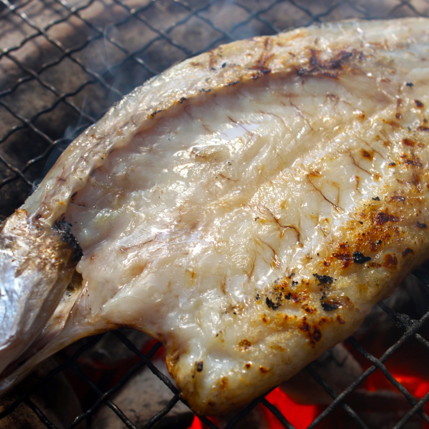 渡邊水産 山陰沖産本かますの干物 ショップチャンネル