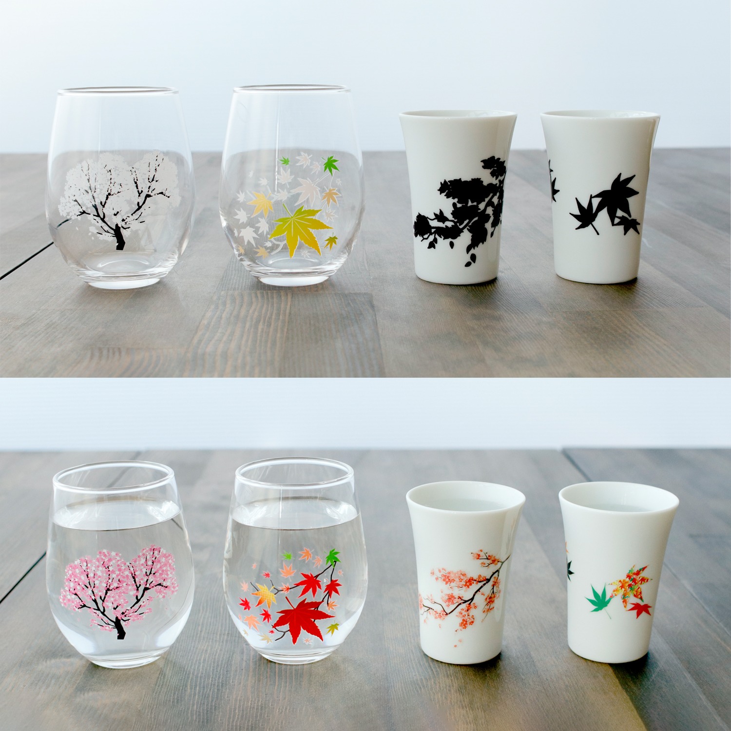 丸モ高木陶器 桜と紅葉の 温感カップペア 冷感グラスペアセット ショップチャンネル