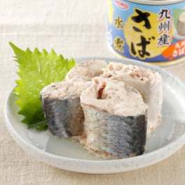 宝幸 九州産さば水煮
