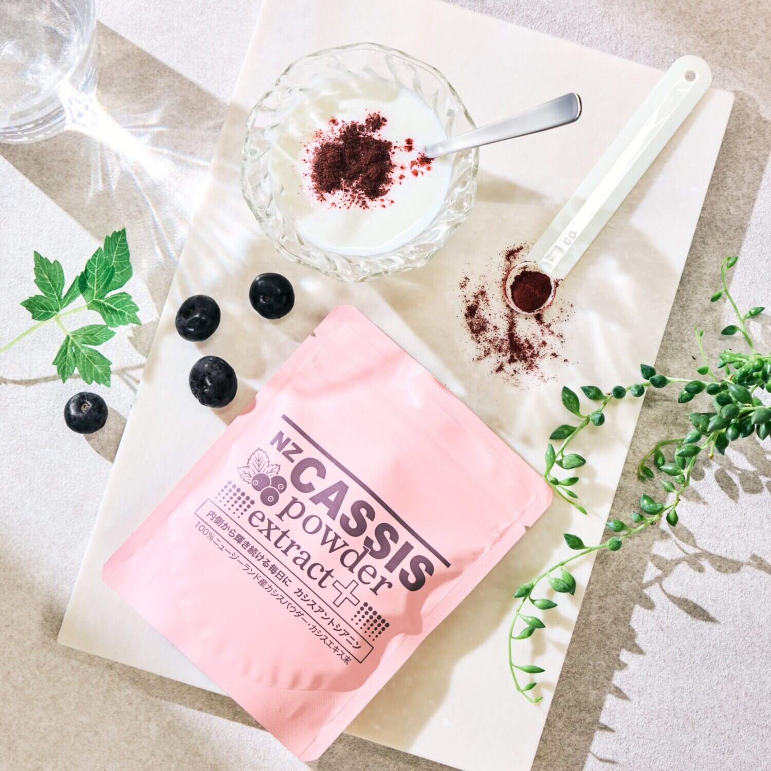 自然の恵みそのまま！ カシスアントシアニンを 手軽に摂れる “ＮＺカシスパウダー 　エクストラクトプラス”