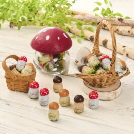 カファレル きのこポット＆ リフィルセットへのクチコミ - ショップ