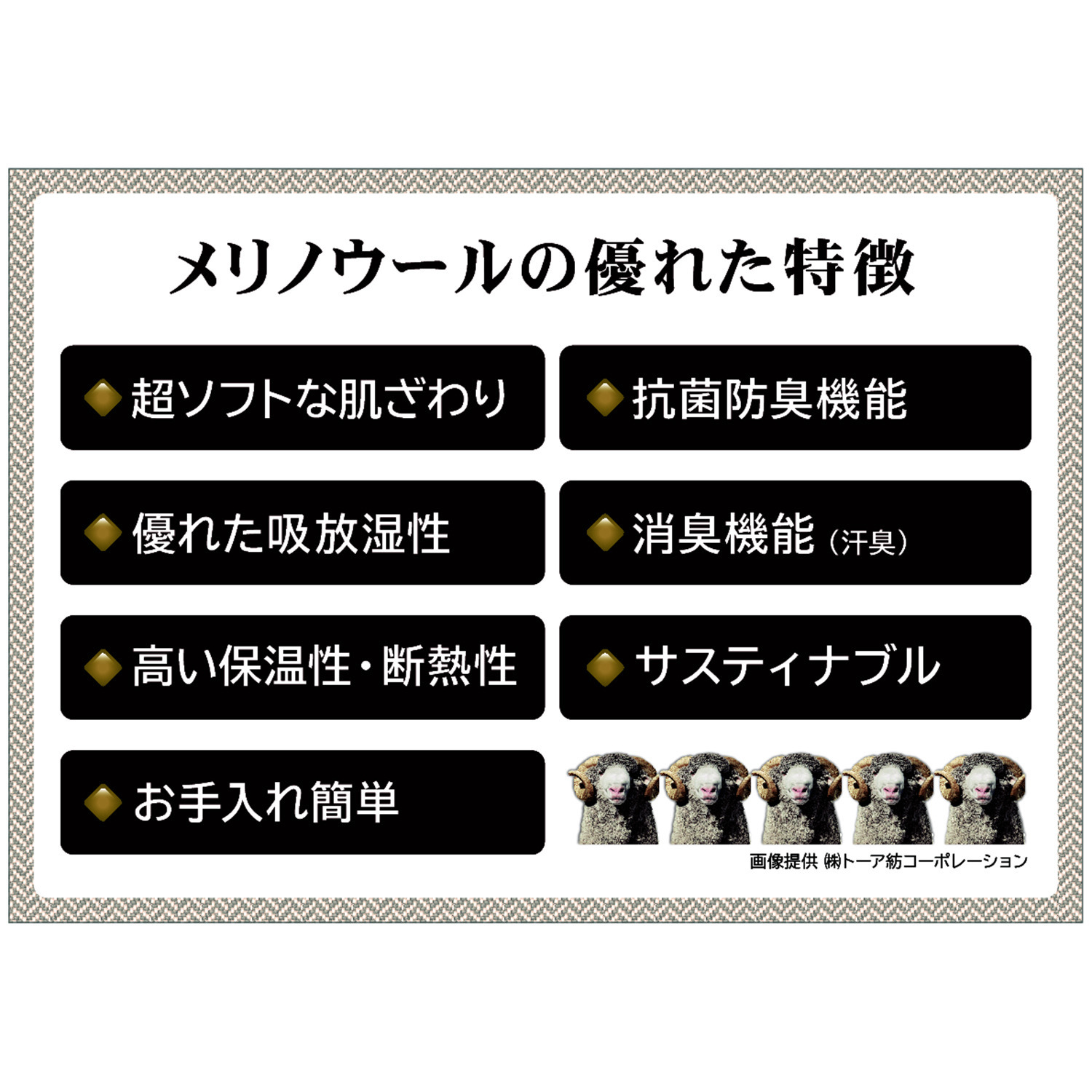 ヘ・エラ 日本製　抗菌防臭・消臭 極上メリノウール１００％ ロールネックインナー