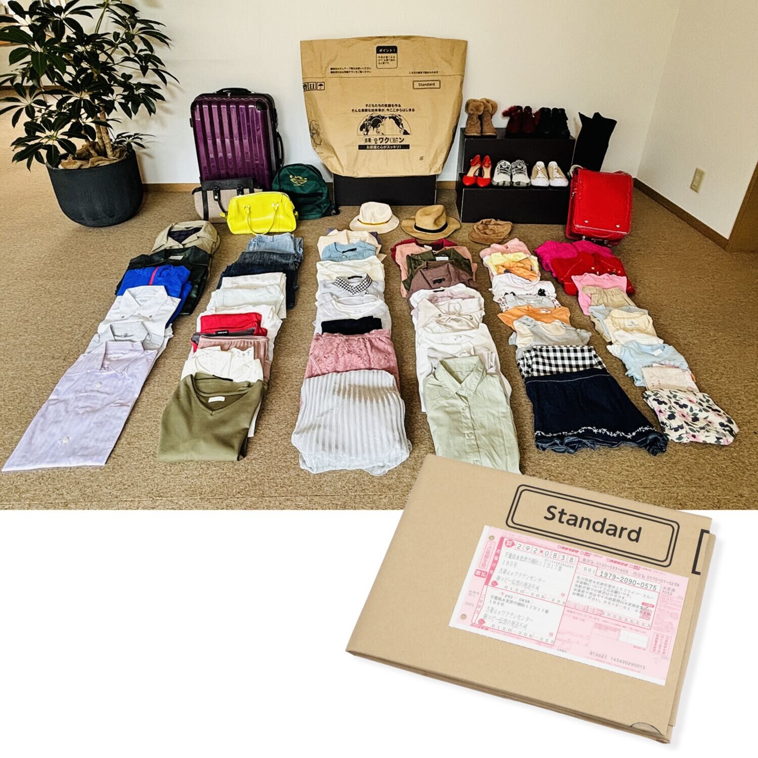 ＜スタンダード＞ 古着ｄｅワクチン ワクチンプラス 専用回収キット 