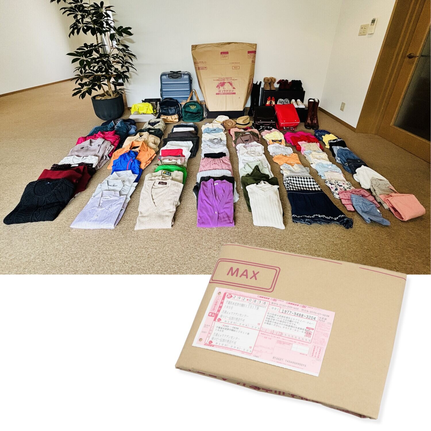 ＜マックス＞ 古着ｄｅワクチン ワクチンプラス 専用回収キット 