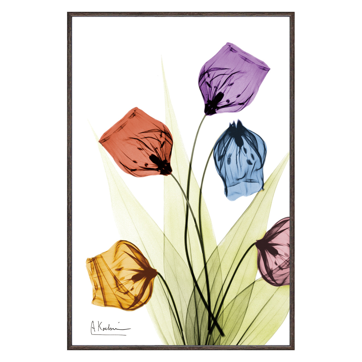 Ｘ　Ｒａｙ キャンバスアート サンダーソニア ＜約３１×２１ｃｍ＞ 