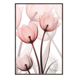 Ｘ　Ｒａｙ キャンバスアート チューリップ ＜約３１×２１ｃｍ＞ 
