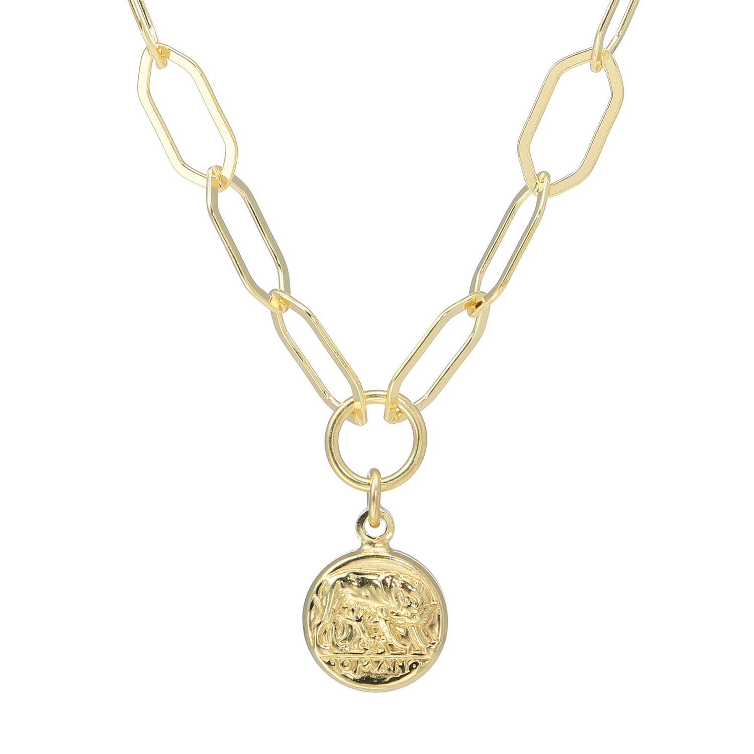 アルジェント イタリアーノ シルバー コインチャームネックレス