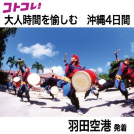 大人時間を愉しむ 南国美ら旅 沖縄４日間 ２名１室 ＜羽田空港発着＞