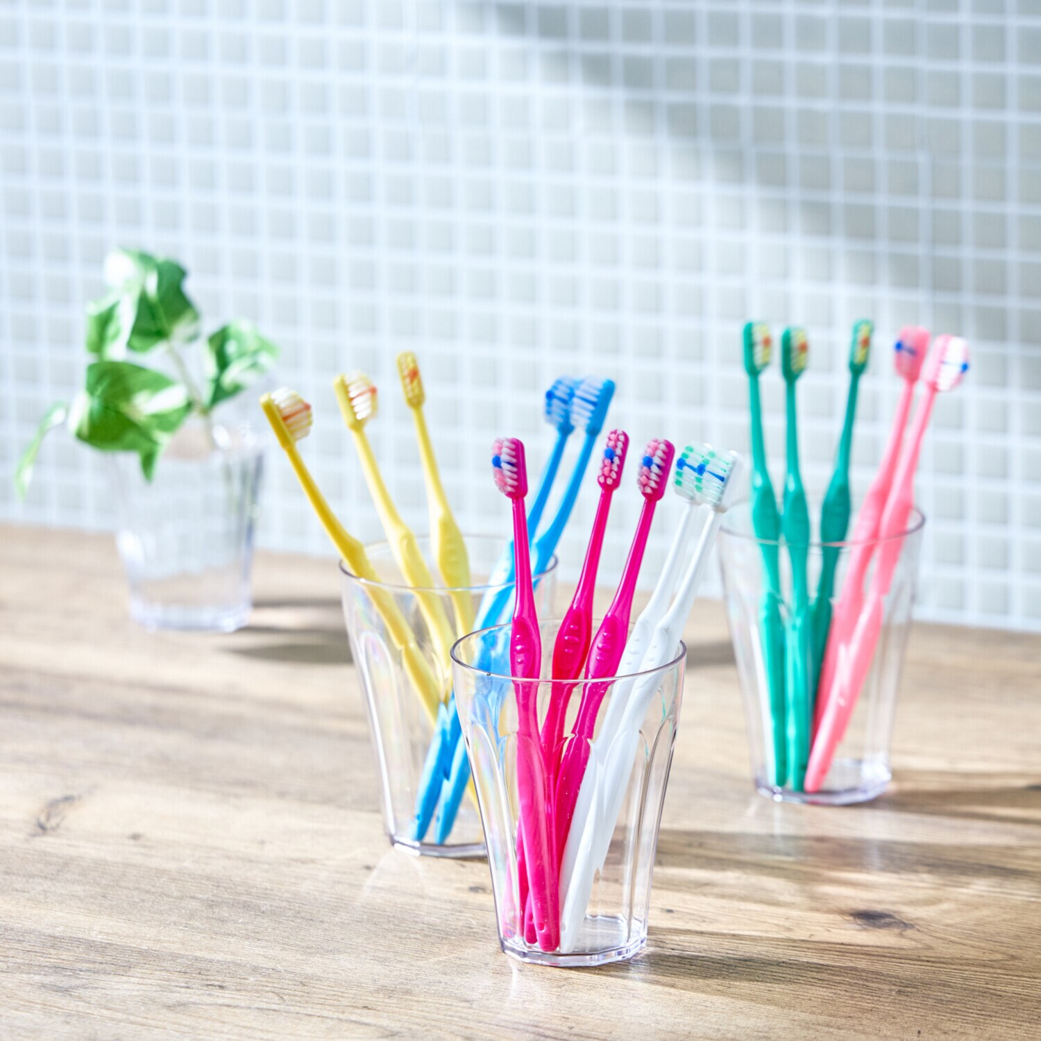 ピラミッド形状とタフトで 効率的に汚れを落とす！ “奇跡の歯ブラシ