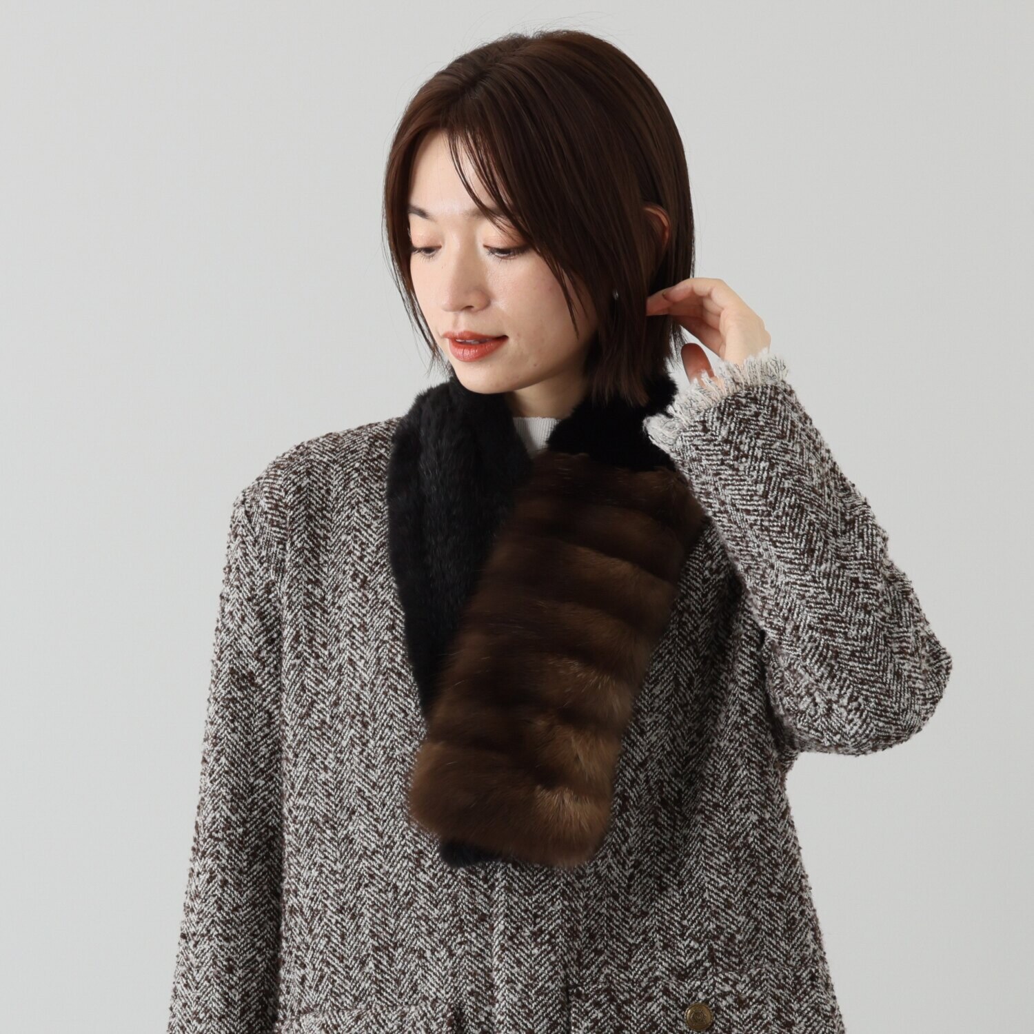 チョコレートブラウンロシアンセーブル　プティマフラー チョコレートブラウンロシアンセーブルプティマフラー