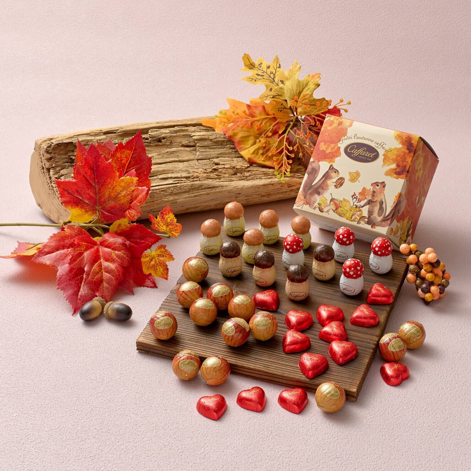 カファレル 森の仲間たち