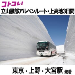 立山黒部アルペンルート 上高地の旅３日間 ２名１室 東京・上野・大宮駅発着