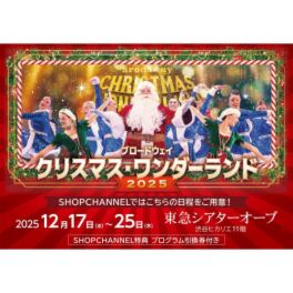ブロードウェイ クリスマス・ ワンダーランド 公演チケット２枚セット ＜１２月１７日〜２５日＞