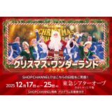 ブロードウェイ クリスマス・ ワンダーランド 公演チケット２枚セット ＜１２月１７日〜２５日＞