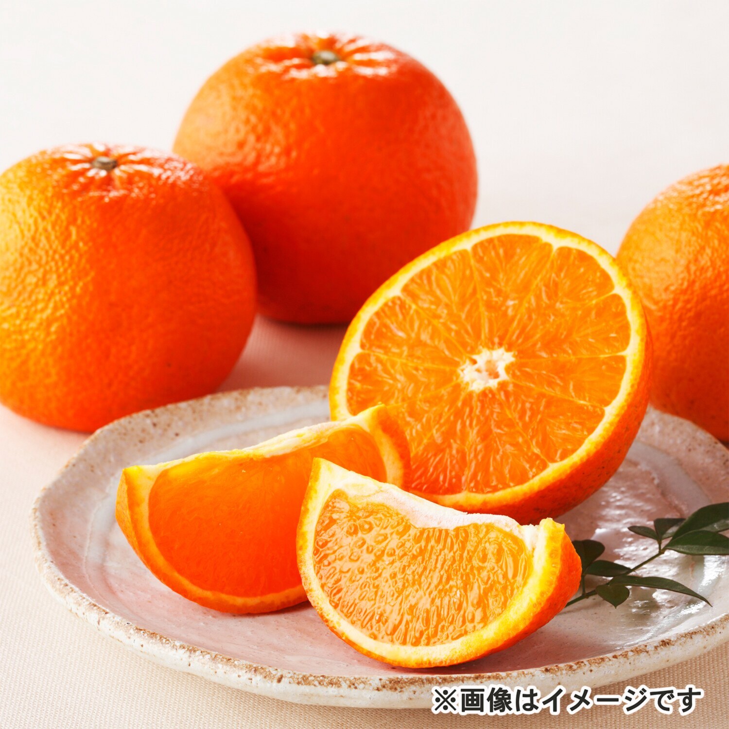 甘くてジューシー！ 奄美大島産 “奄美たんかん” ＜お買得品＞