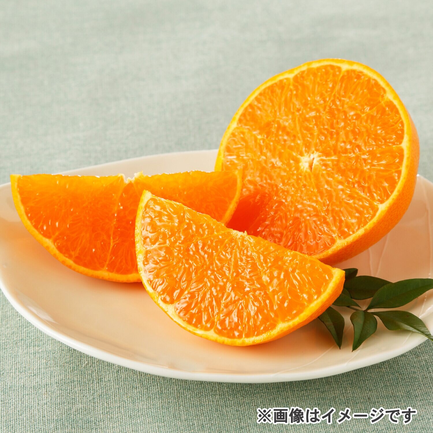 濃厚な甘み！ とろける食感！ 愛媛県産　完熟せとか ＜４．８ｋｇバラ詰め＞