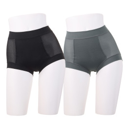 きれいになろう！ 深ばきショーツ２枚セット 爽やかメッシュ調 ピタッとフィット 蒸れにくい